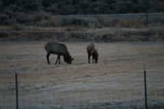 New Pictures _April_ 034