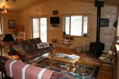 living room fireplace cab 1