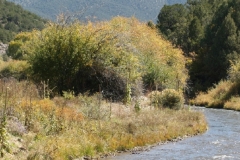 River _front of elk cabin