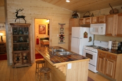 kitchen cab 2